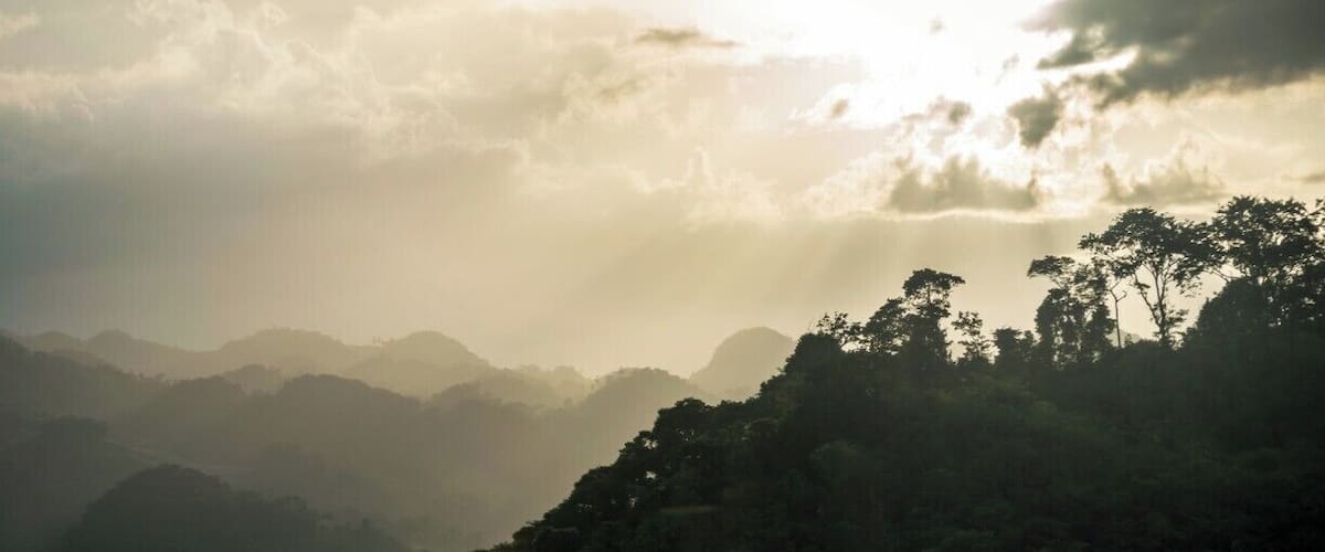 A mountainous landscape with dense forest and a sunlit sky.