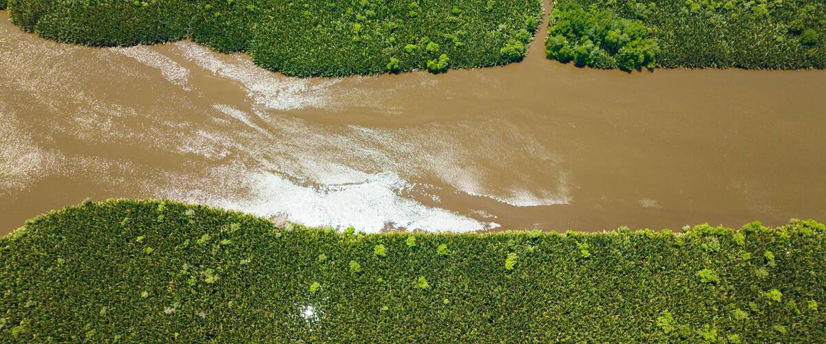 An aerial view of a river meandering through a dense forest.