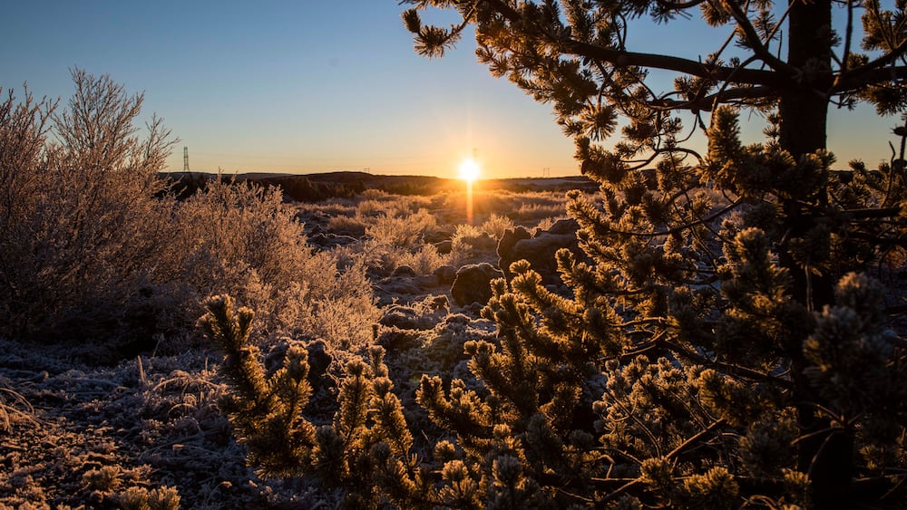 A sunset over a frosty landscape with sparse vegetation and a clear sky.