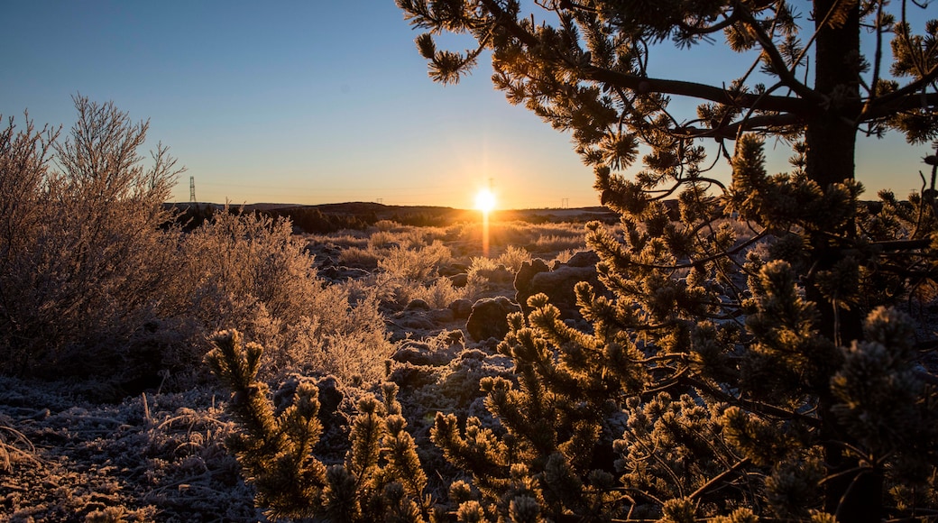 Mit Reif überzogene Landschaft im Naturschutz- und Naherholungsgebiet Heiðmörk nahe Garðabær undweit der Hauptstadt Reykjavik