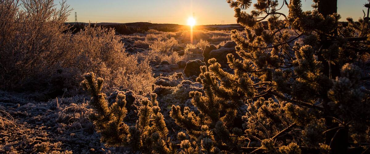 Mit Reif überzogene Landschaft im Naturschutz- und Naherholungsgebiet Heiðmörk nahe Garðabær undweit der Hauptstadt Reykjavik