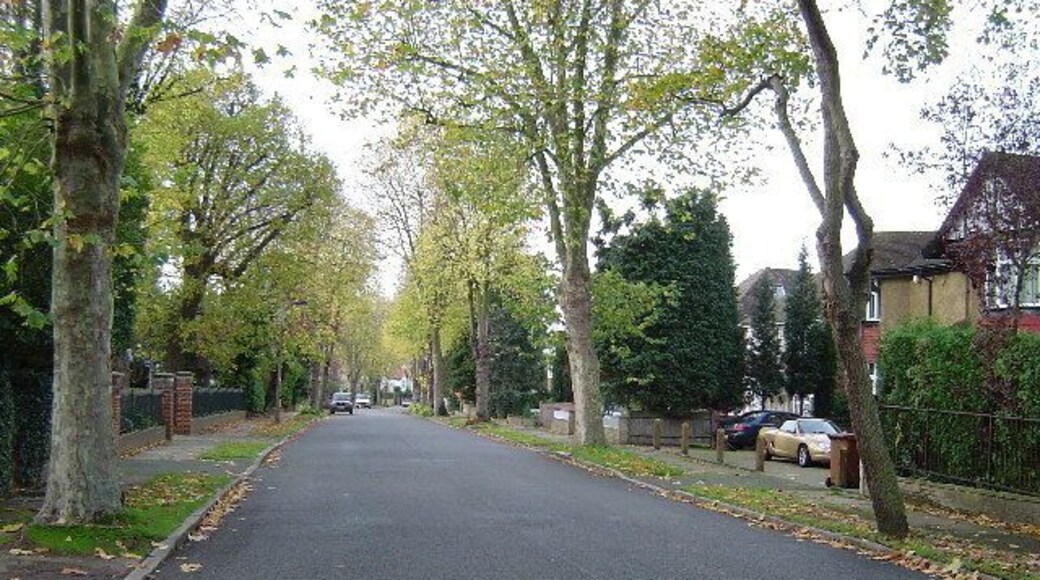 Hatch End: Royston Park Road. Viewed looking south westwards. The only hazard to life on the exclusive Royston Park housing estate is the number of learner drivers attempting reversing and three-point turns on its broad avenues.
