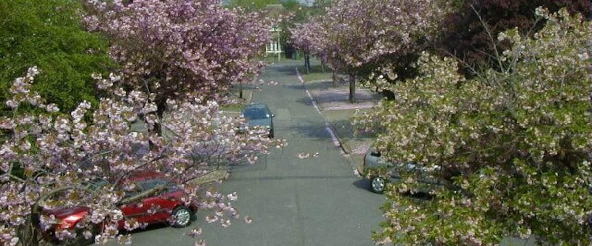 Felden Close in Spring.