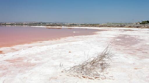 Salt lake Torrevieja, Spain