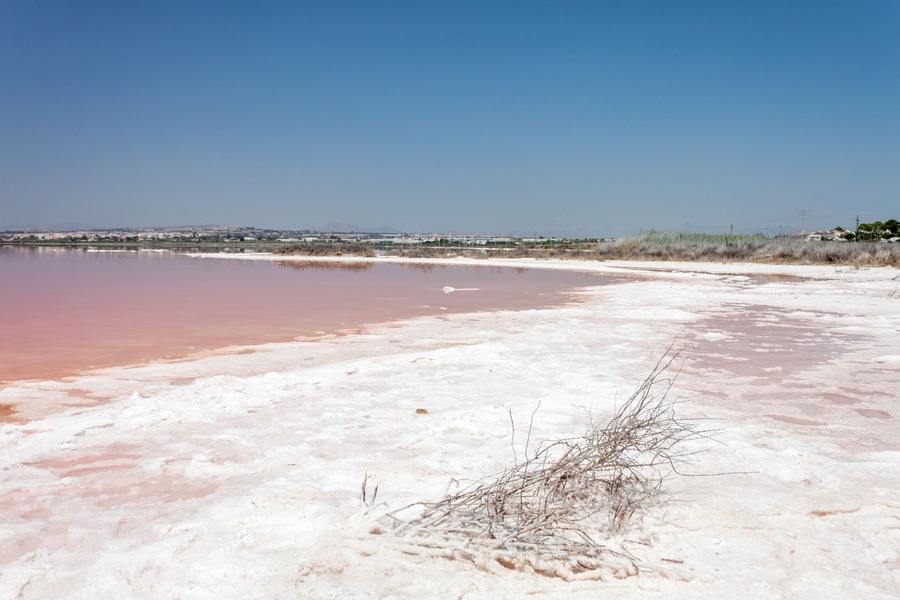 Salt lake Torrevieja, Spain
