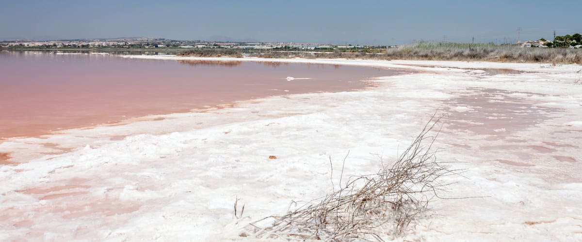 A salt flat with pink water and white salt crusts.
