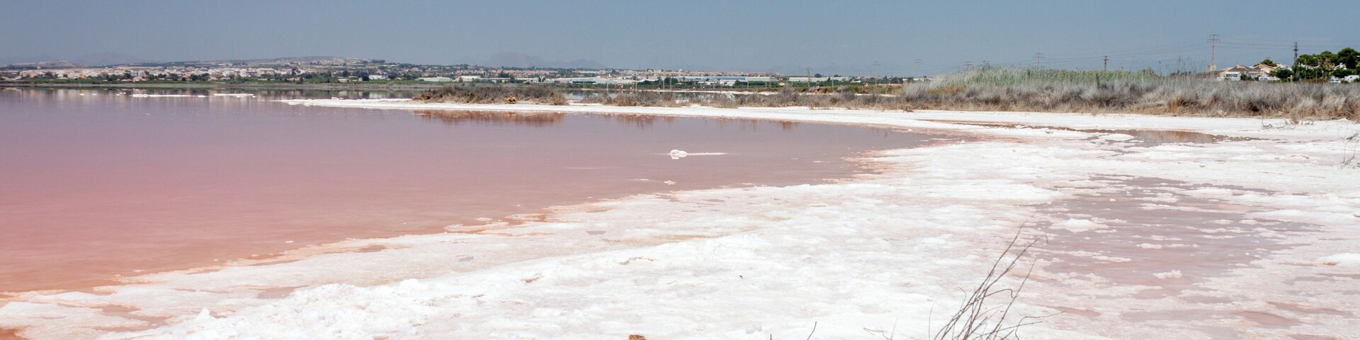 A salt flat with pink water and white salt crusts.