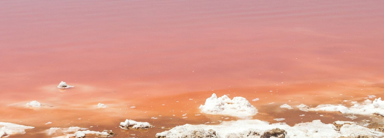 Salt lake Torrevieja.