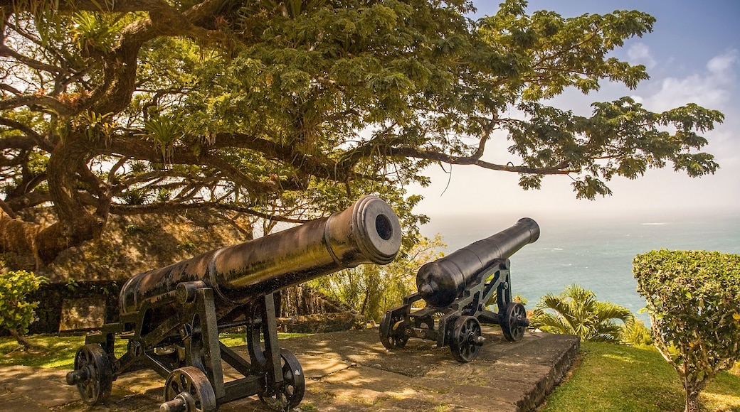 Two cannons on a stone platform with a view of the ocean.