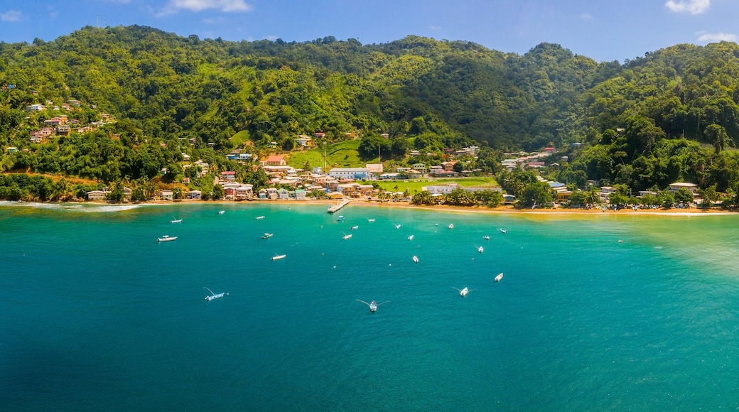 A coastal landscape with a forested island, clear turquoise waters, and numerous boats.