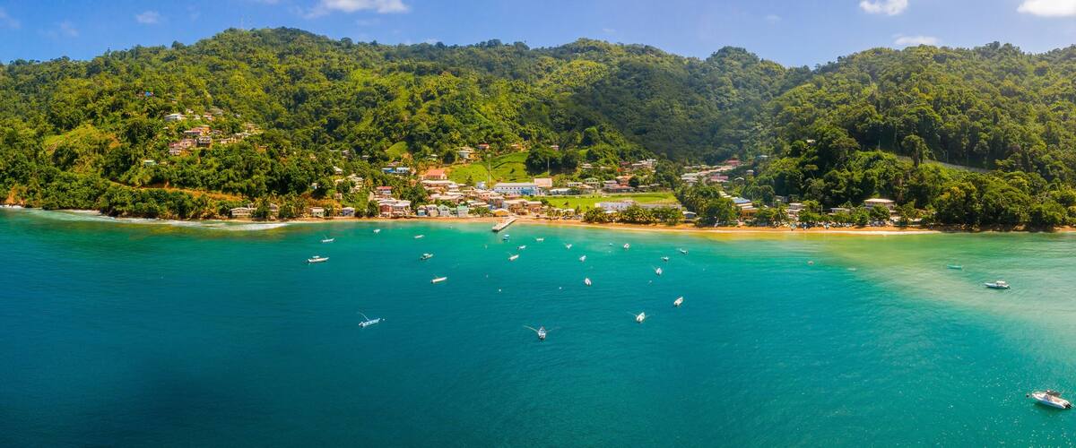 A coastal landscape with a forested island, clear turquoise waters, and numerous boats.