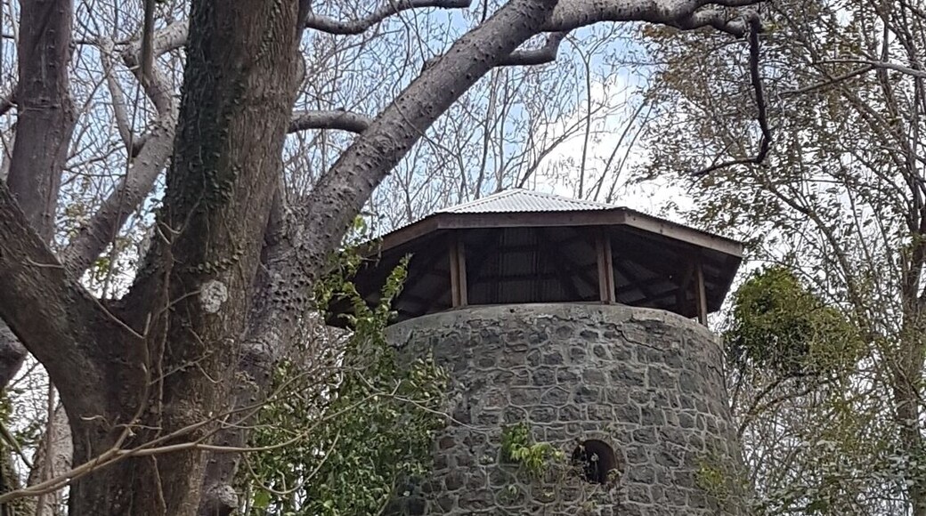 17th Century Sugar mill, located on one of the several estates that were producing sugar, cocoa and other produce 300 hundred years ago!