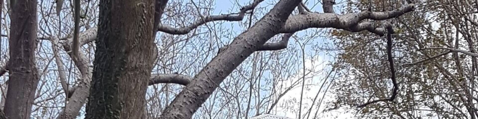 17th Century Sugar mill, located on one of the several estates that were producing sugar, cocoa and other produce 300 hundred years ago!