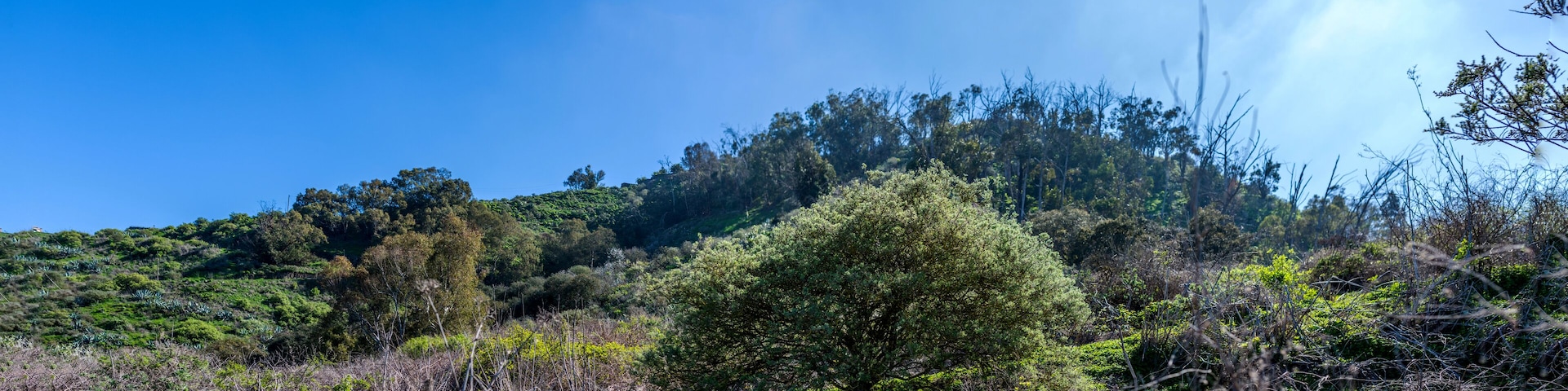 Santa Brigida, Gran Canaria, January 2018