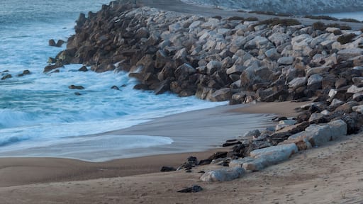 South view of Nazare, unusual perspective
#nazaré #portugal #BVS100K