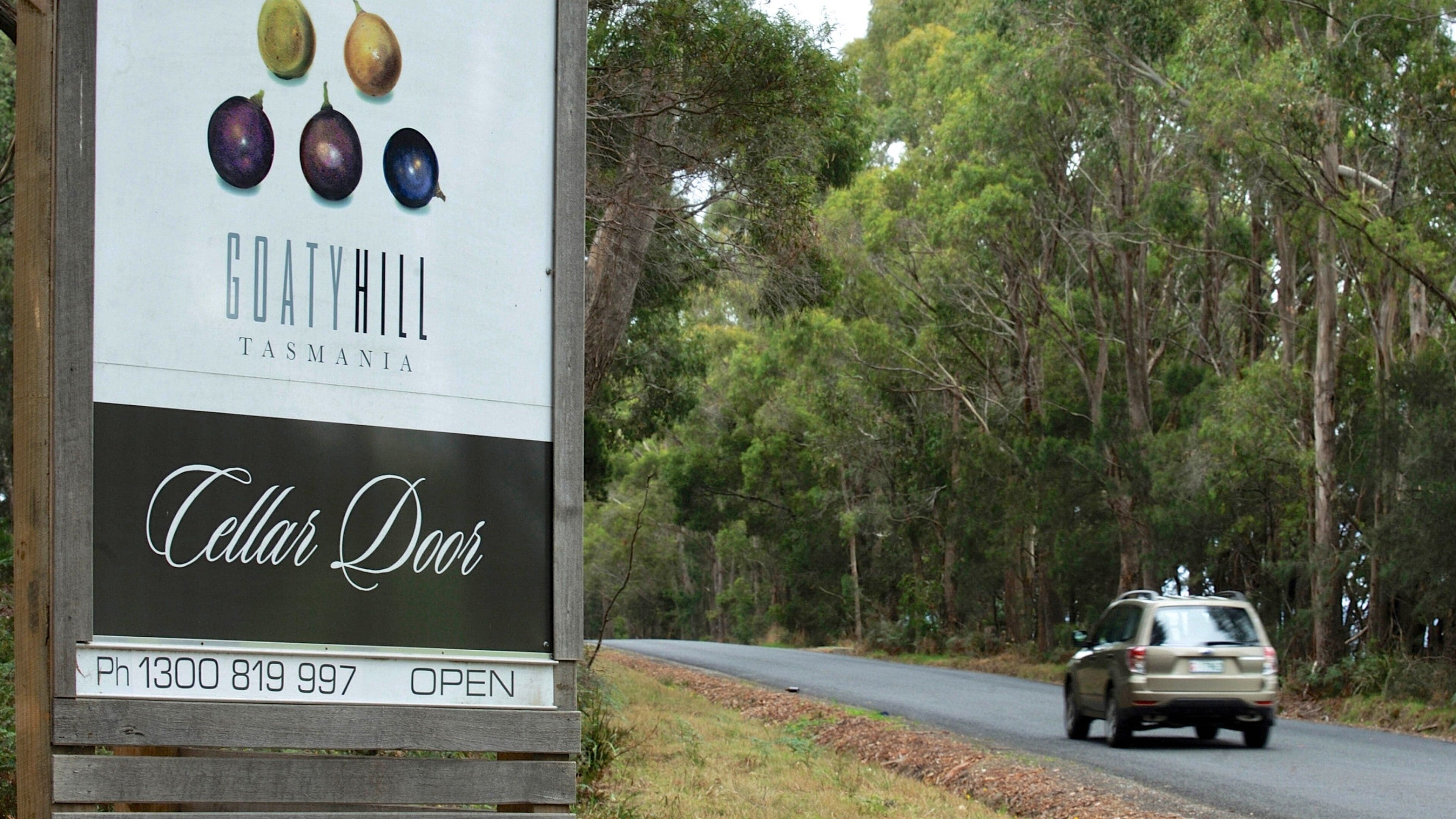 Tamar Valley which includes signage and tranquil scenes