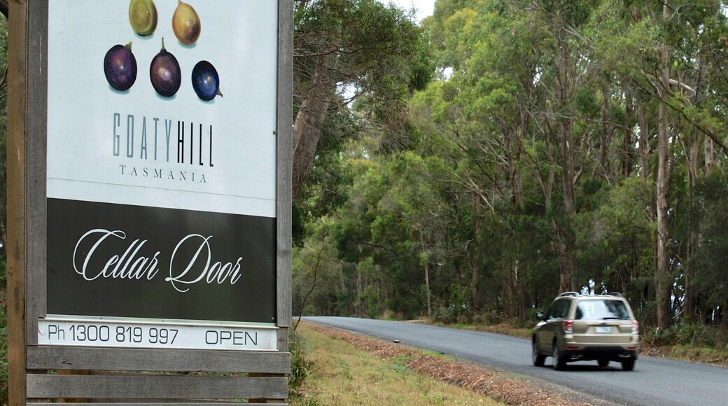 Tamar Valley which includes signage and tranquil scenes