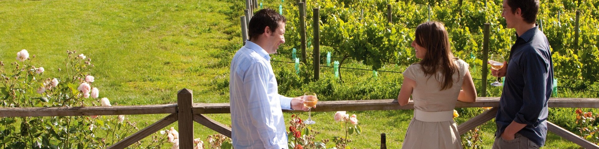 Tamar Valley featuring farmland as well as a small group of people