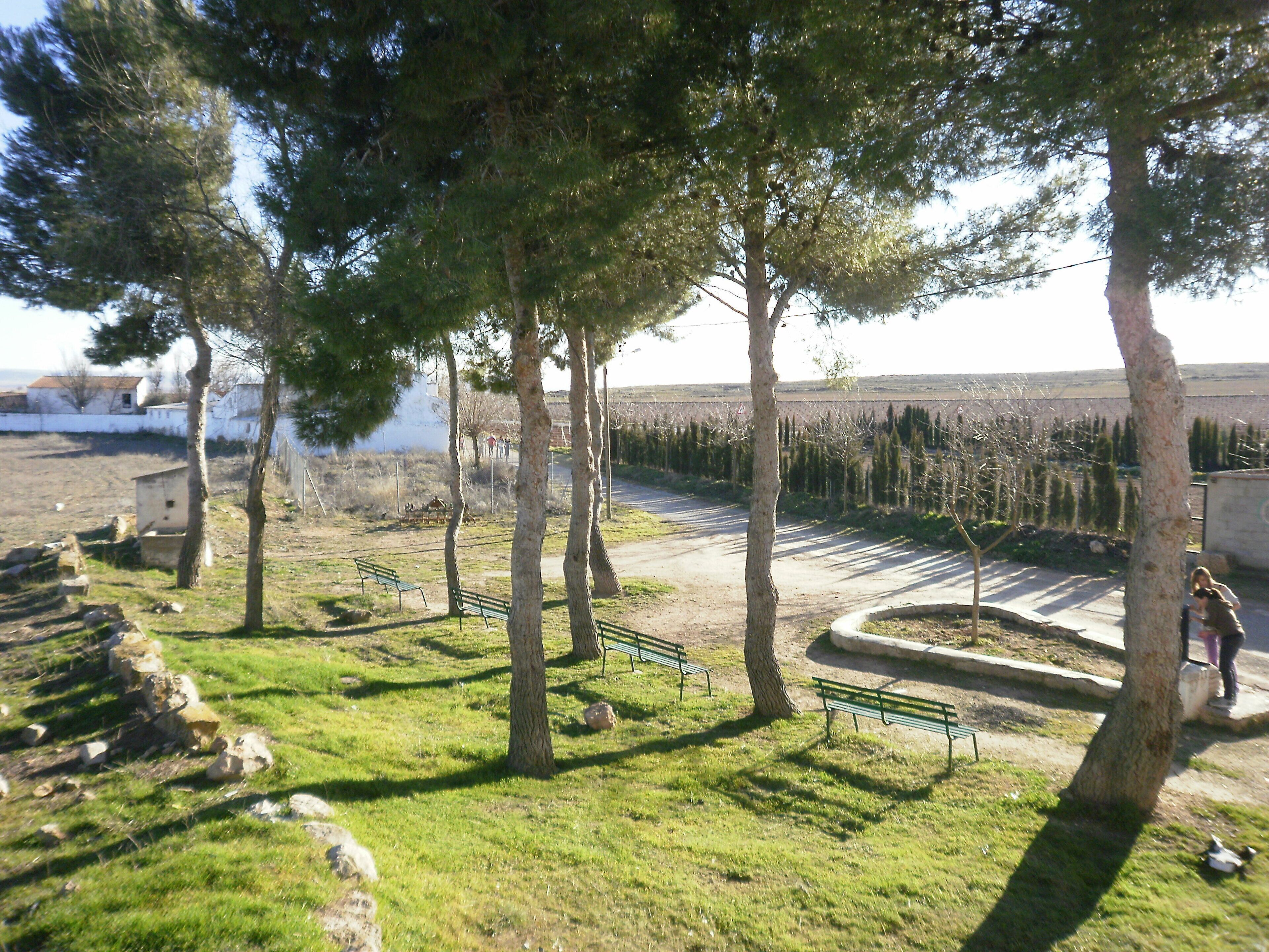 Para mí, una fotografía única