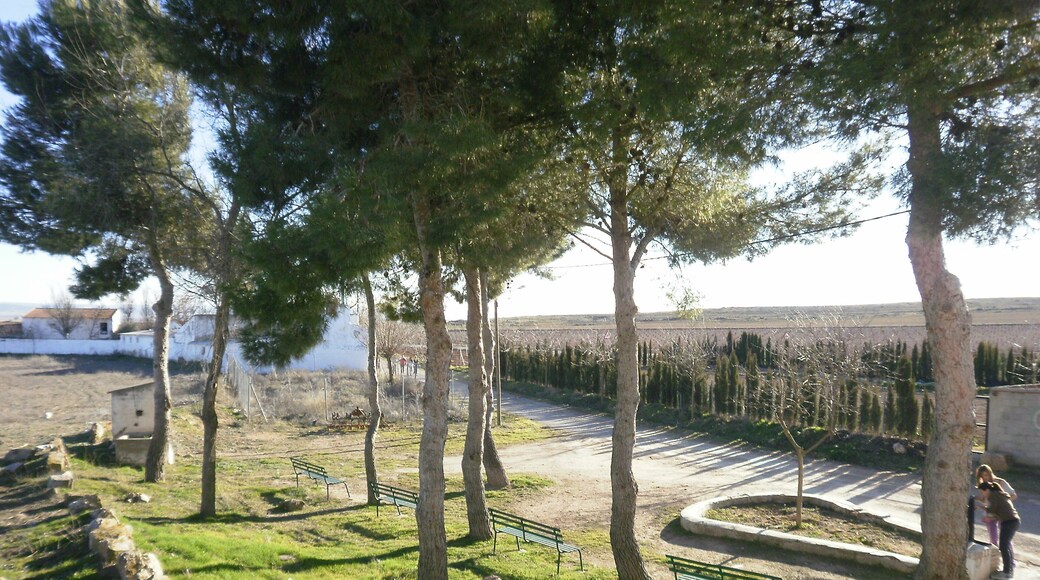 Para mí, una fotografía única