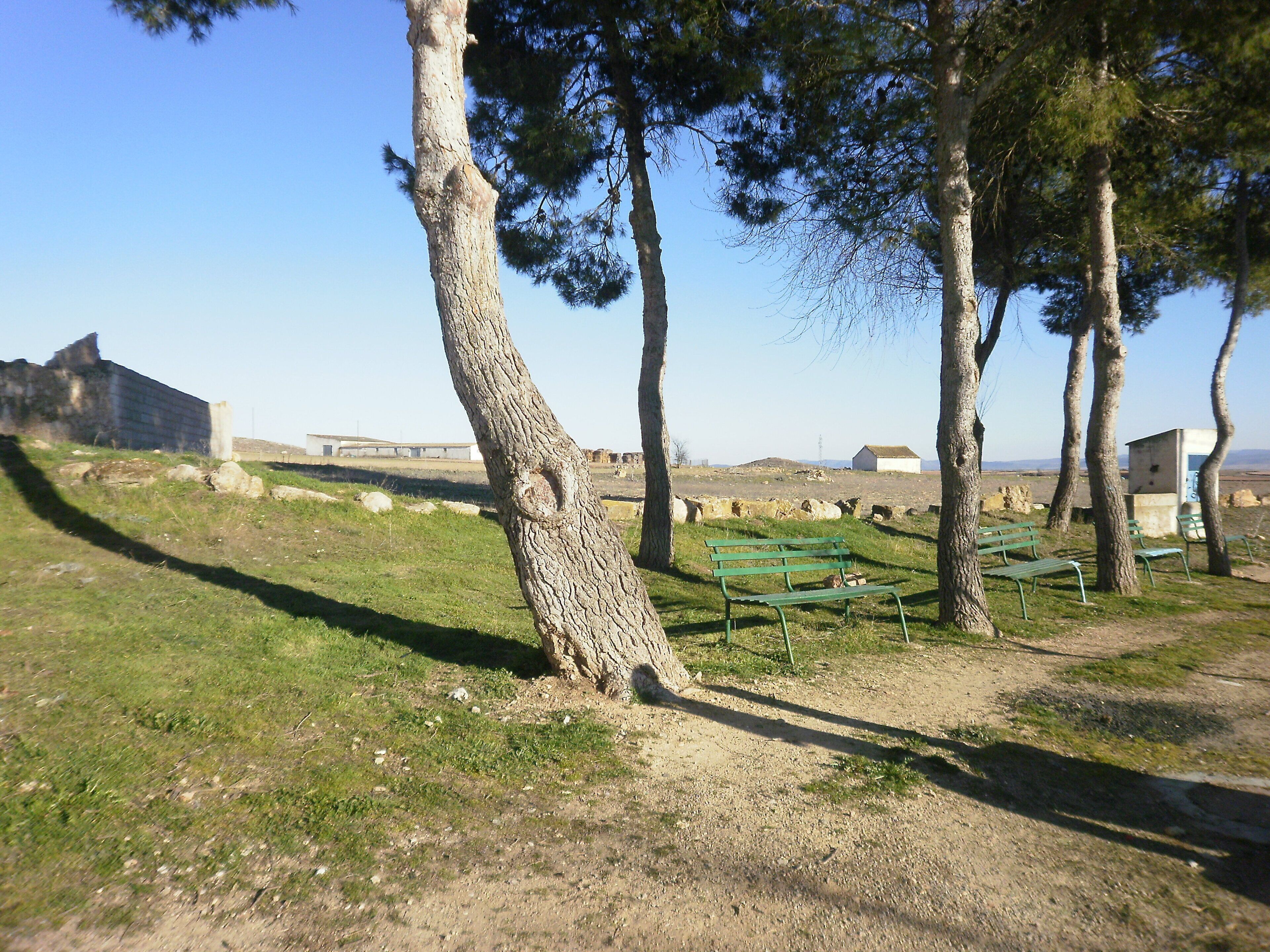 A park with green benches, trees, and a distant view of a building.