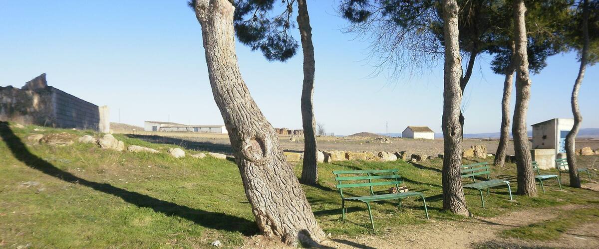 A park with green benches, trees, and a distant view of a building.