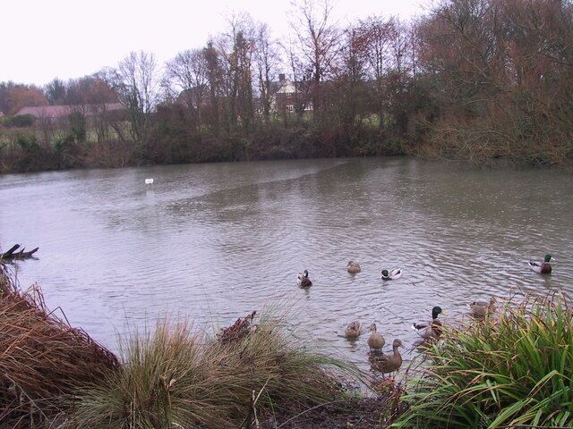 Lidgate Duck Pond The large duck pond in the centre of Lidgate village.