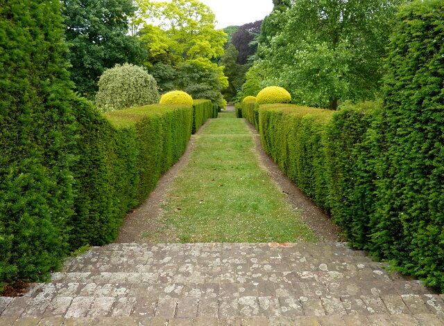 Grass path by the rose terraces in Mount Ephraim Gardens, Staplestreet, near Hernhill