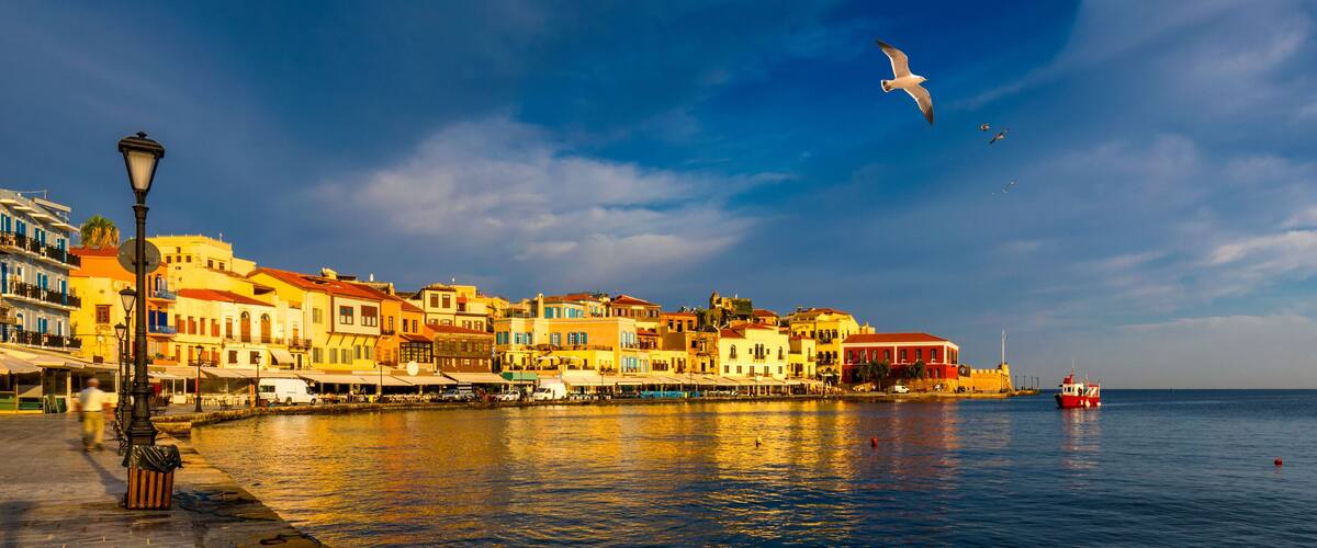 A waterfront cityscape with colorful buildings, a lighthouse, and a seagull flying overhead.
