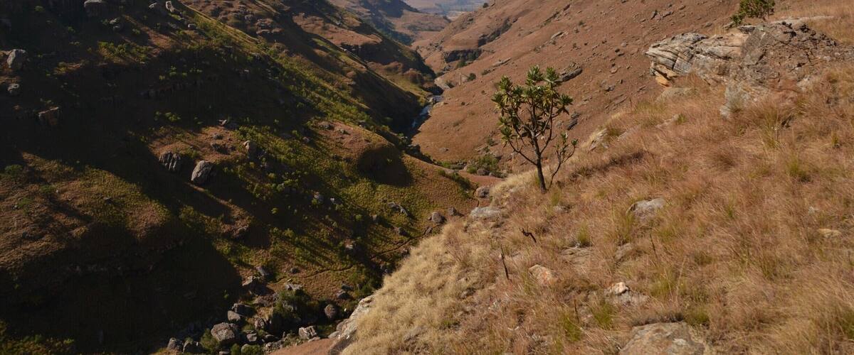 A valley with a narrow water channel, rocky terrain, and sparse vegetation.