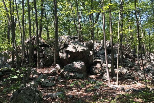 An other great 5 mile hike!