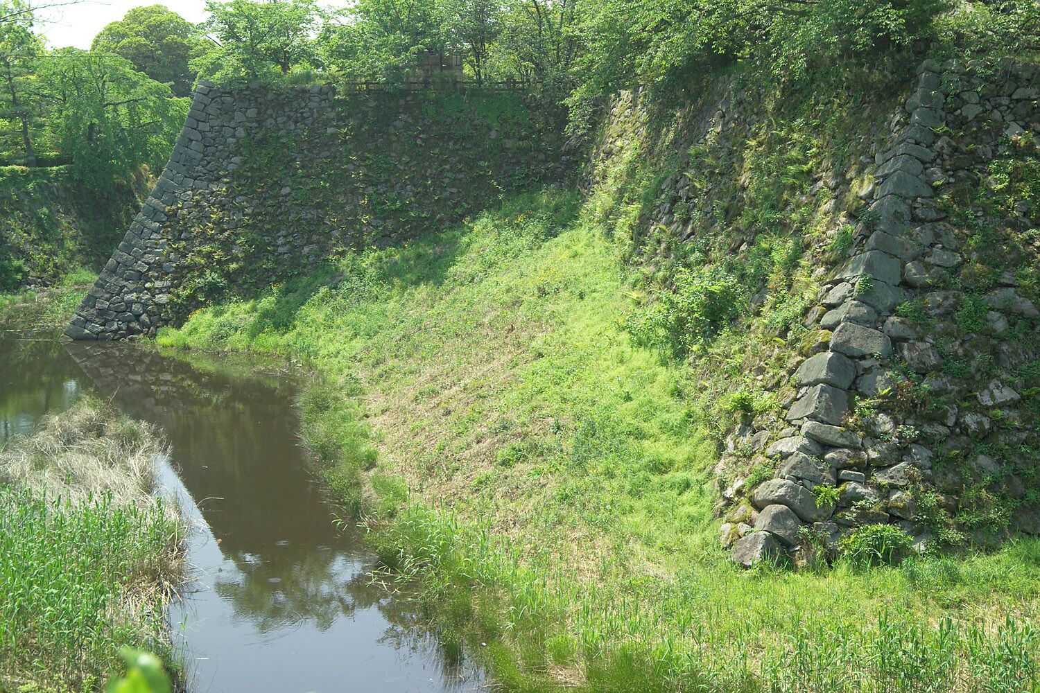 A stone retaining wall alongside a calm river, surrounded by lush greenery and trees.