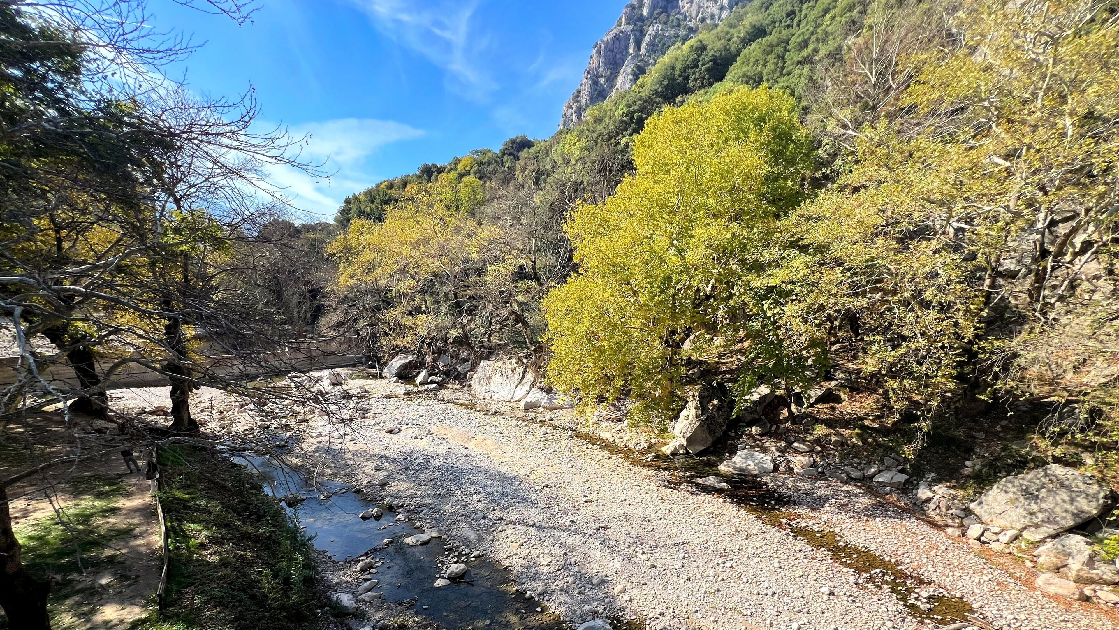 A river flowing through a rocky valley with trees and cliffs.