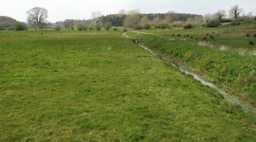 View west across pasture The view was taken from the B1110 (Holt Road).