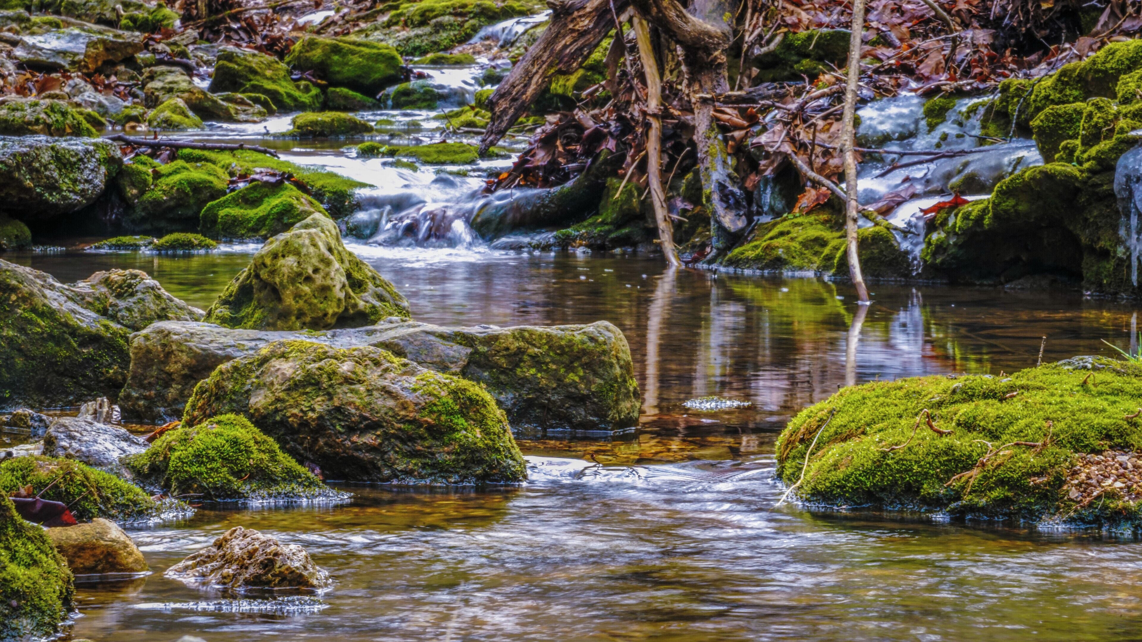 On a cold January day I went for a hike down a long trail in the middle of nowhere to see the land bridge tunnel at Bennett Springs State Park. On the walk I had to cross several streams, the snow and ice was beginning to melt as the sun began to come out, and the crisp cold air really made for a great scene with the green moss on the rocks! Beautiful hike on a day that most would have stayed in and warm. #LifeAtExpedia
