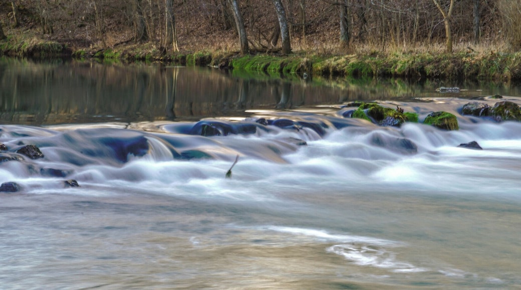 There are several of these cascading waterfalls that separate the pools near the spring, creating great places to catch rainbow trout. Bennett Springs, MO is a great place to spend a weekend any time of the year! There are many great trails to hike, the Niangua river is just down the road for floating, the cabins have been recently udpated and are reasonably priced, the trout fishing is great, and if you're a SCUBA diver you can even register to dive the spring on weekends over the winter. #Nature #Trovember