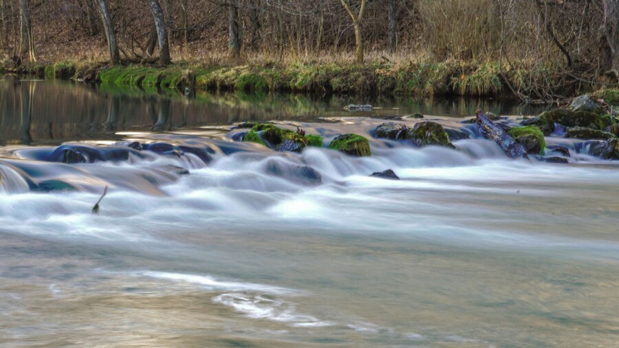 There are several of these cascading waterfalls that separate the pools near the spring, creating great places to catch rainbow trout. Bennett Springs, MO is a great place to spend a weekend any time of the year! There are many great trails to hike, the Niangua river is just down the road for floating, the cabins have been recently udpated and are reasonably priced, the trout fishing is great, and if you're a SCUBA diver you can even register to dive the spring on weekends over the winter. #Nature #Trovember