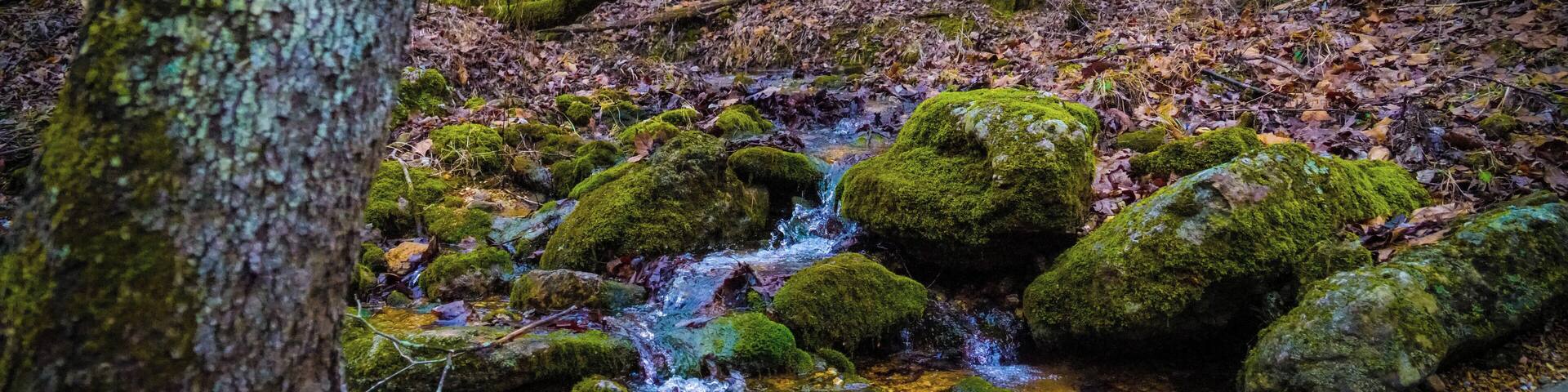 The Natural Tunnel trail did not disappoint with flowing streams and bright green algae. By the time I had reached this creek location most of the snow had melted from the late morning sun/heat. #Nature #Trovember #LifeAtExpedia