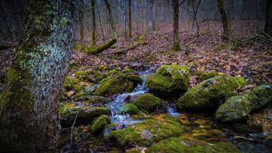 The Natural Tunnel trail did not disappoint with flowing streams and bright green algae. By the time I had reached this creek location most of the snow had melted from the late morning sun/heat. #Nature #Trovember #LifeAtExpedia