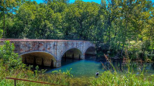 بينيت سبرينجز