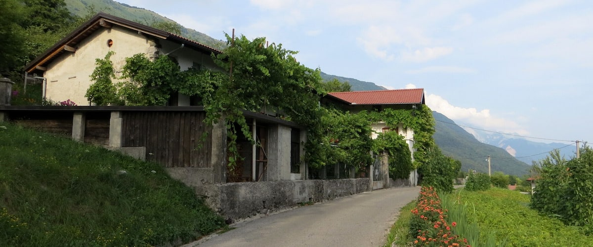 A rural road with houses, greenery, and mountains in the background.