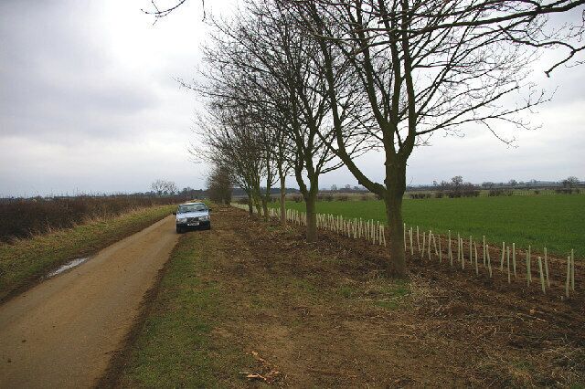 A rural road with a car, leafless trees, a fence, and open fields.