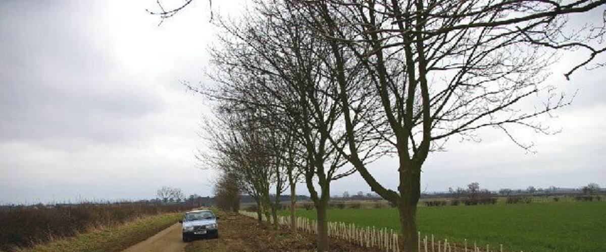 A rural road with a car, leafless trees, a fence, and open fields.