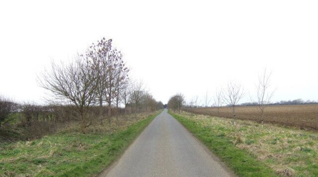 Snitterby Cliff Road In the dead-straight Lincolnshire fashion.