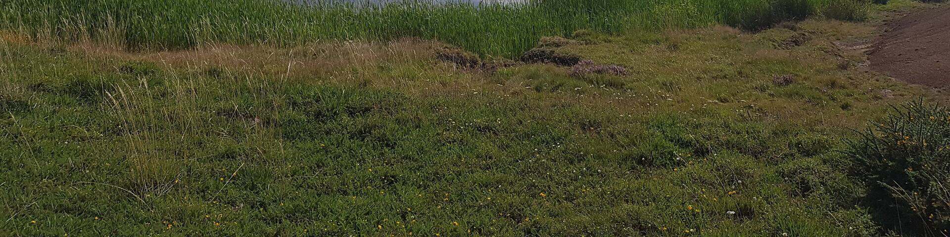 Unako putzua edo Unagako putzua Aralar mendilerroan dagoen ur putzu natural bat da