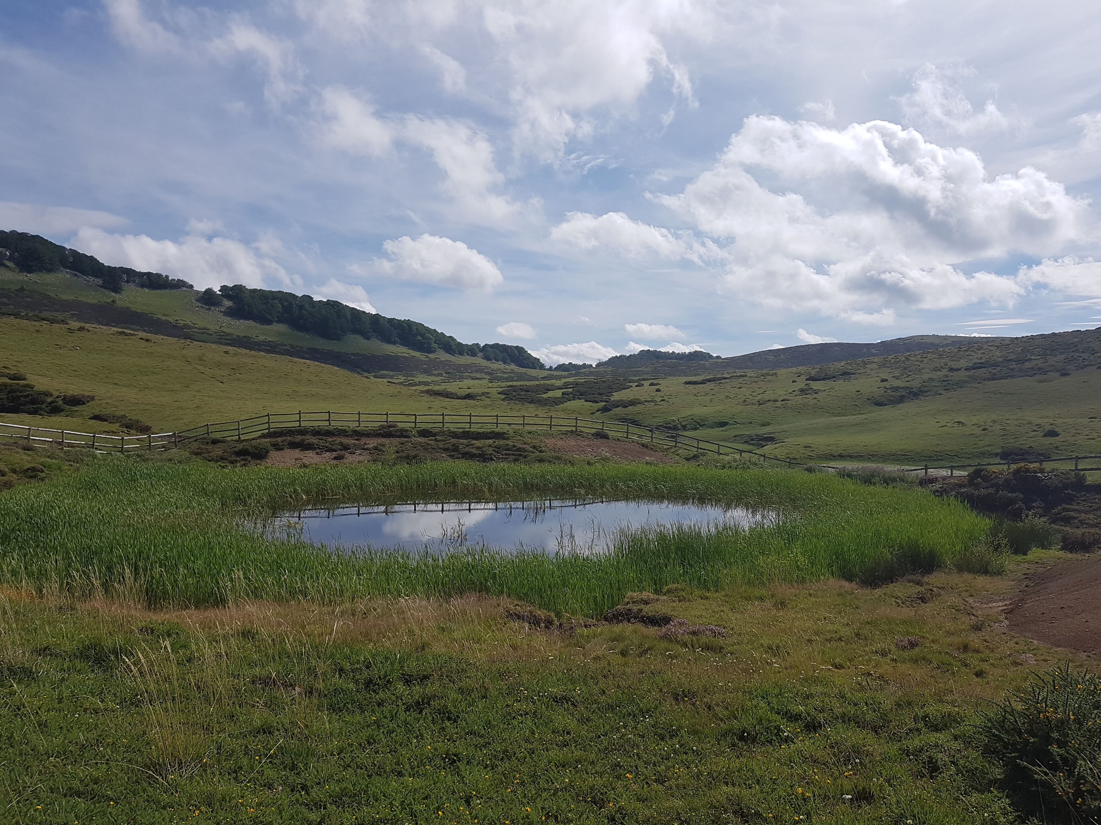 A pond surrounded by green hills and a wooden fence.