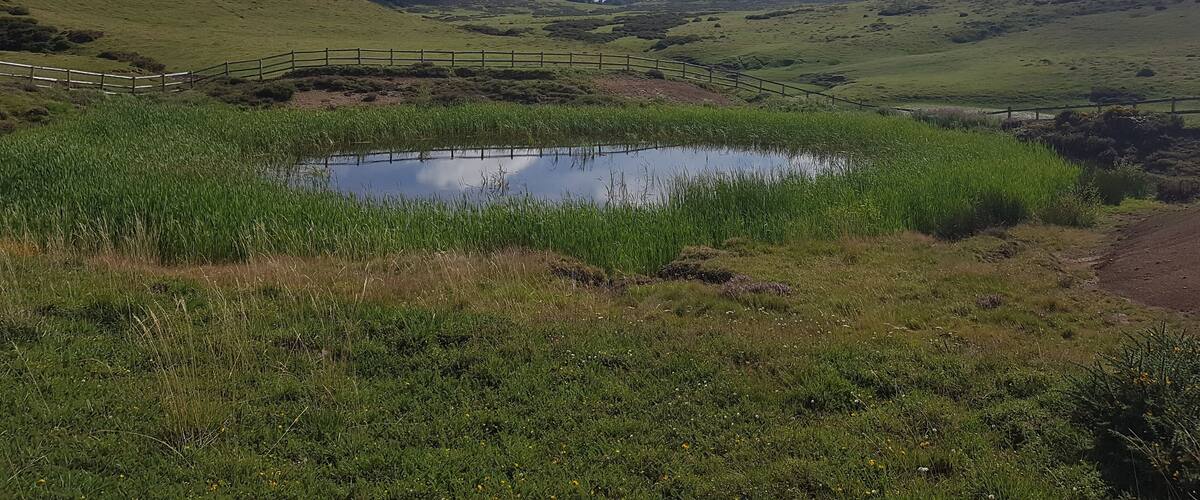A pond surrounded by green hills and a wooden fence.