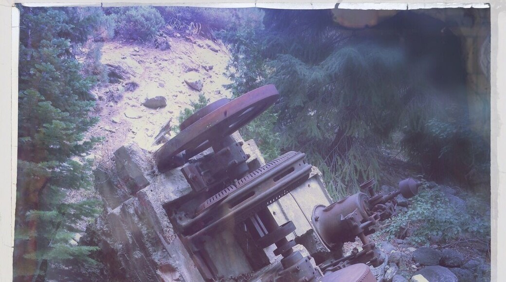 A Pelton Wheel power plant from the Jamison Mine Complex.