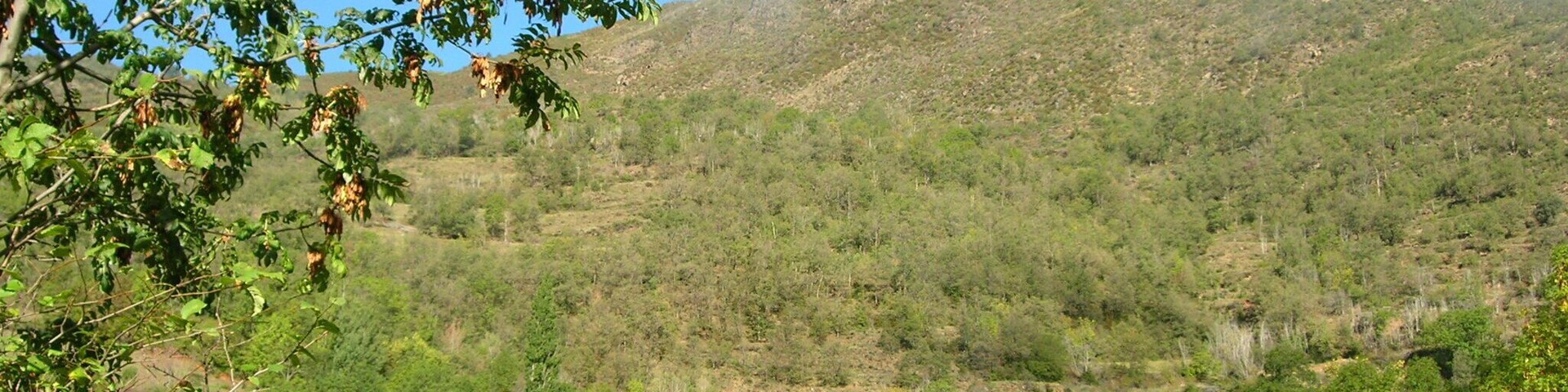 Casc urbà de Cóll (la Vall de Boí)