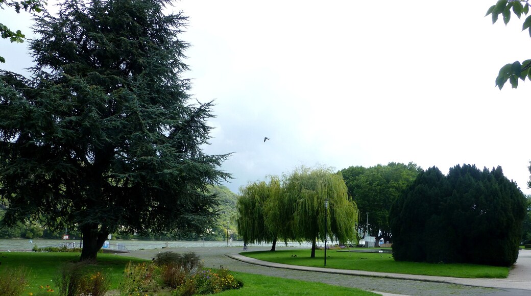 Andernach - Rheinanlage